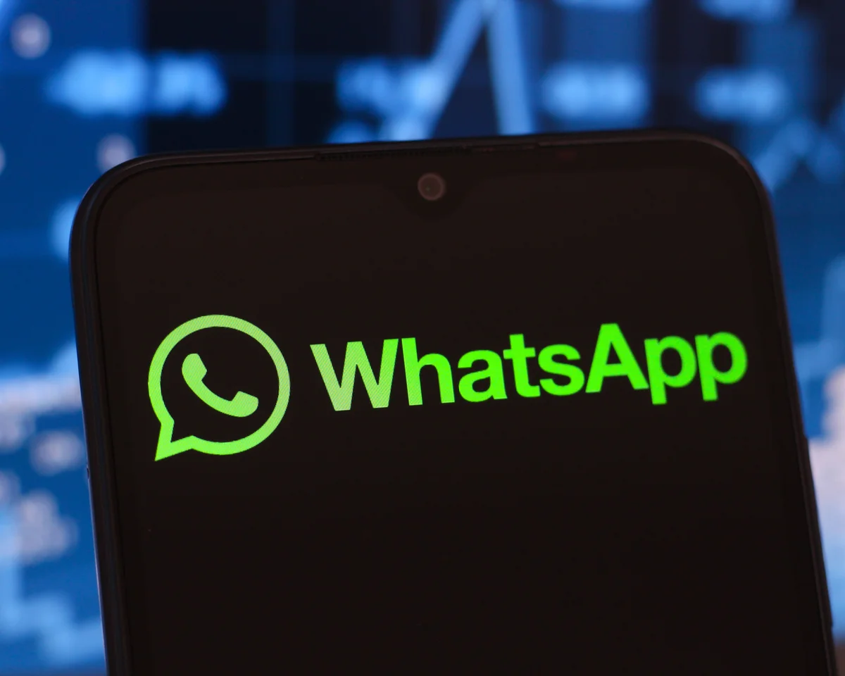 What information can be found on WhatsApp business accounts? Use Digital Planet for type filtering!